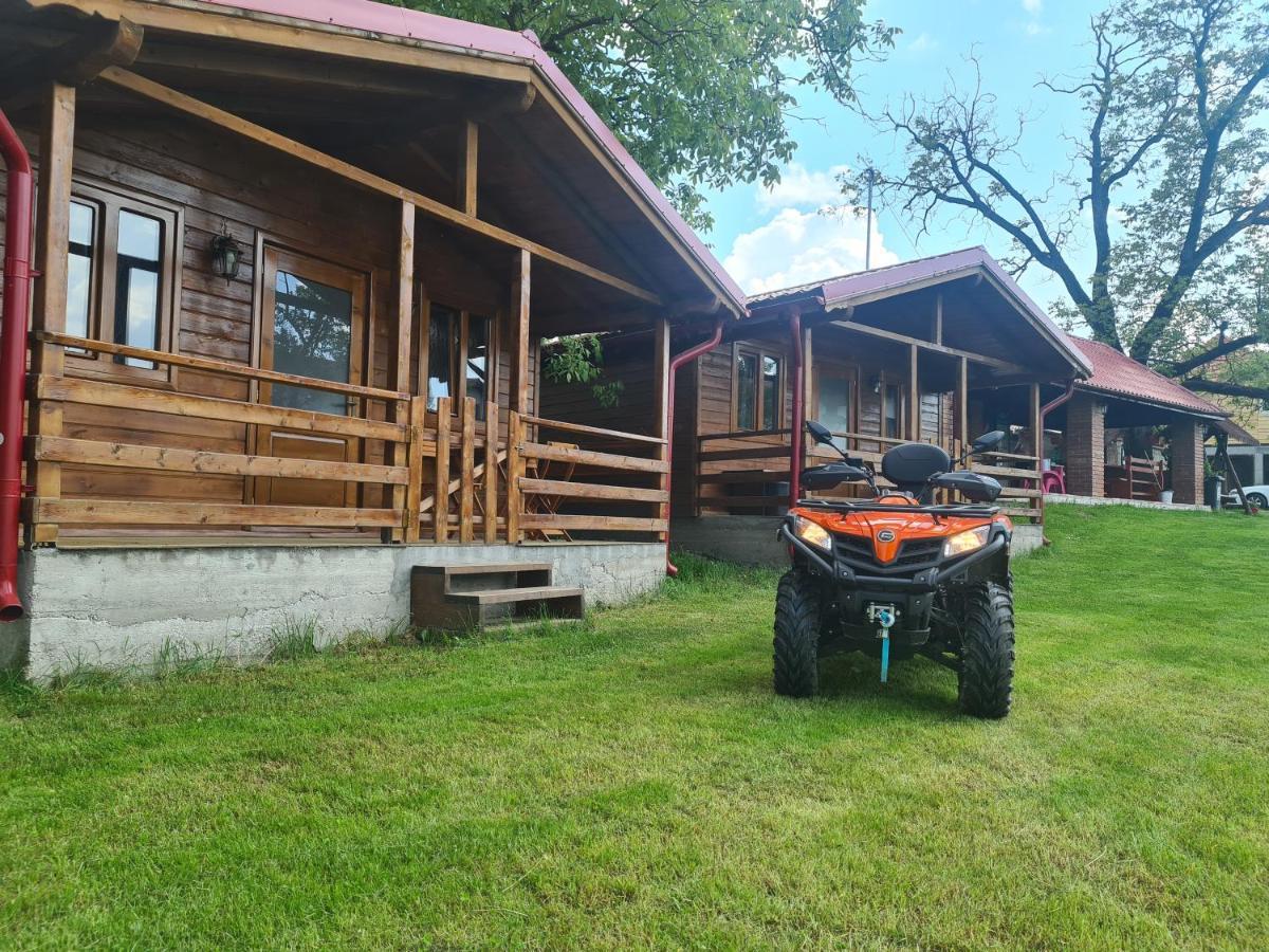 Cabanutele Din Lemn Villa Chiscau Eksteriør bilde