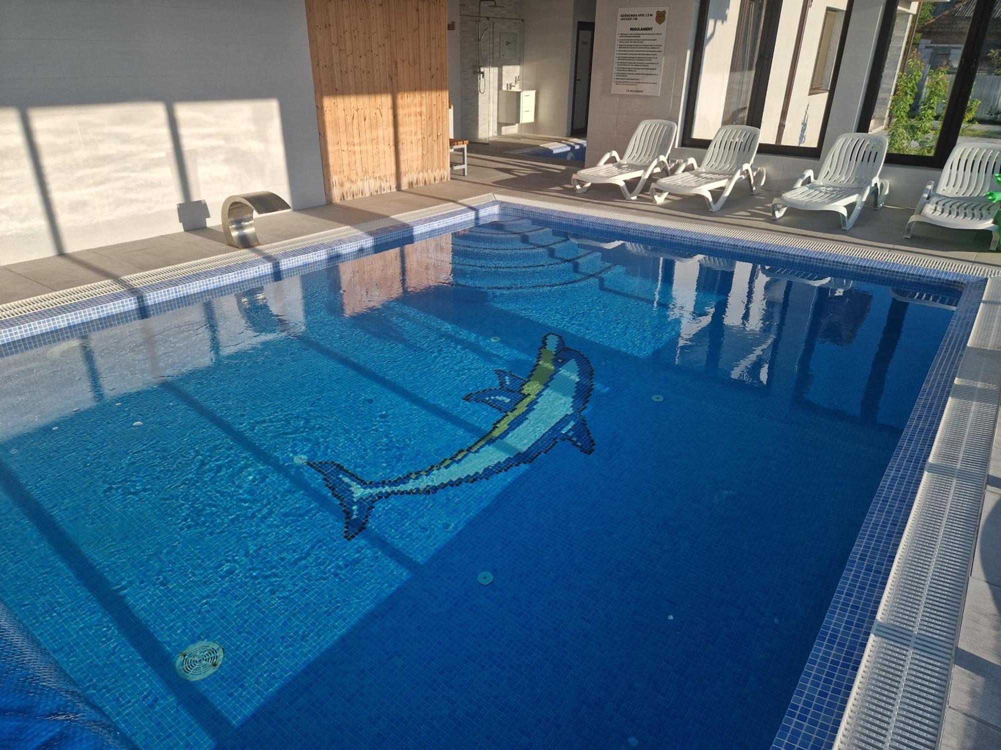 Cabanutele Din Lemn Villa Chiscau Eksteriør bilde